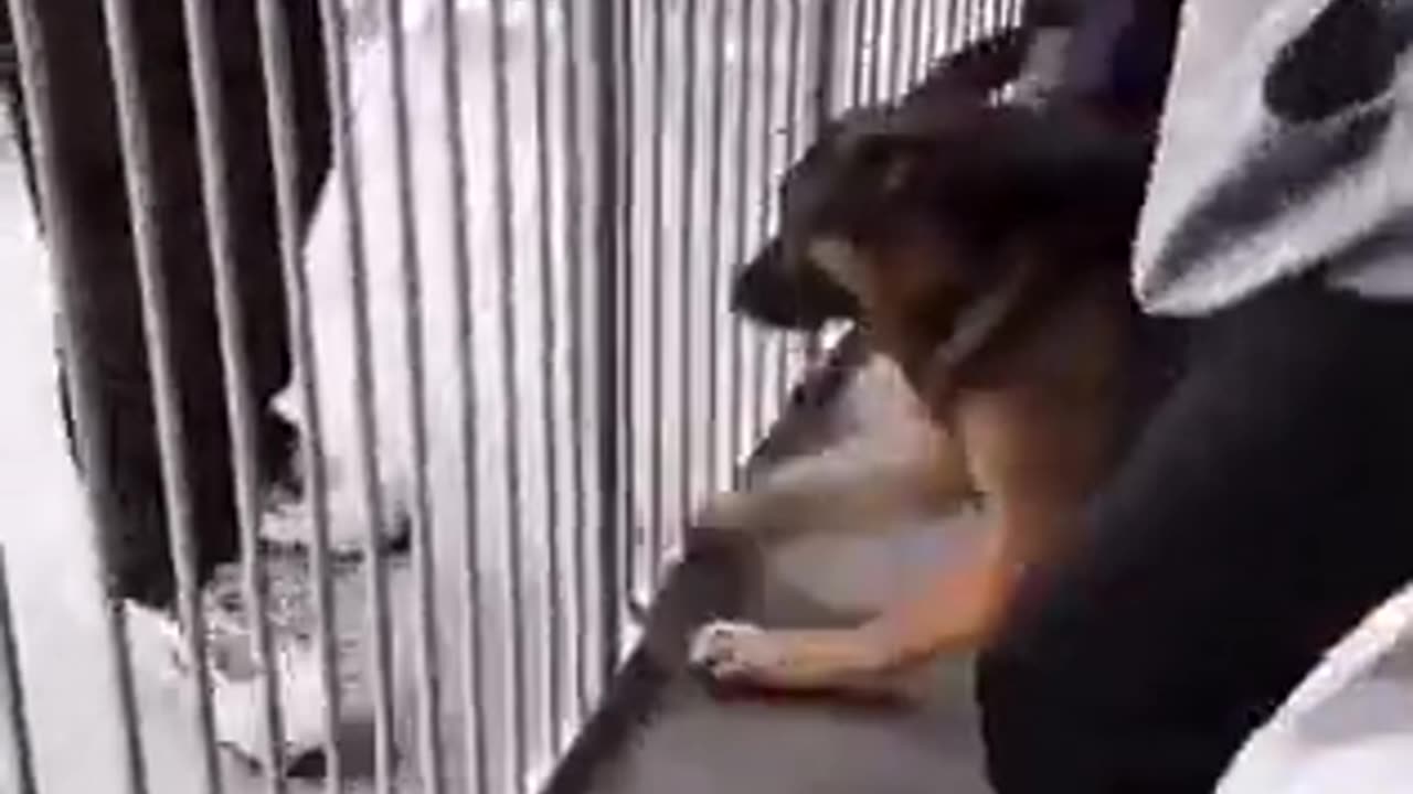 Leaving the kid at the kindergarten for the first time