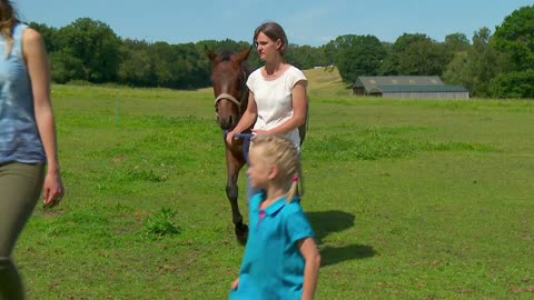 Mi Mascota y Yo - T03E10 - Noble, el Nuevo Poni del Bosque