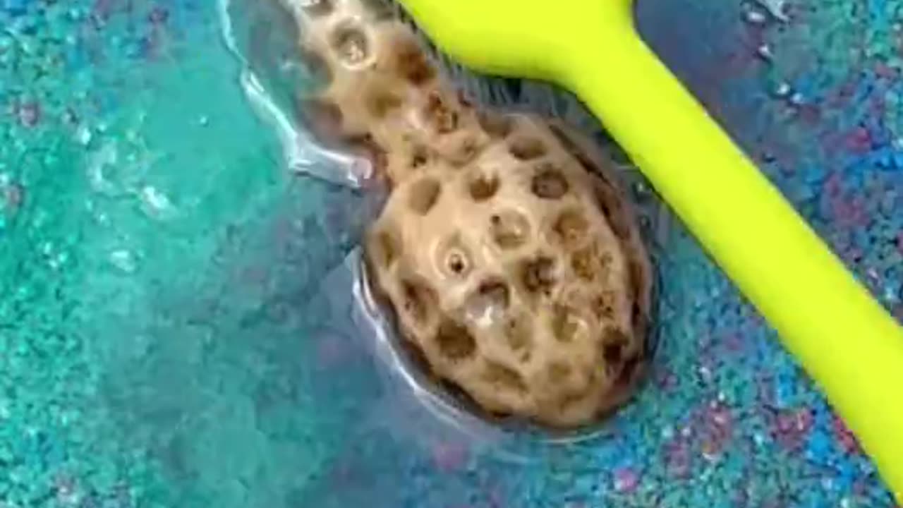 CLEANING SQUISHY