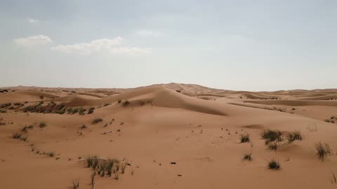 Desert Video