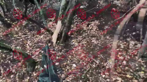 🌲🪖 Russia Ukraine War | Stormtroopers Attack UAF Forest Position | RCF