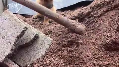 🤣📶 I'll Help You Via Bluetooth! Hilarious Tech Fail | FunFM
