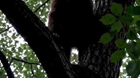 Who is it?