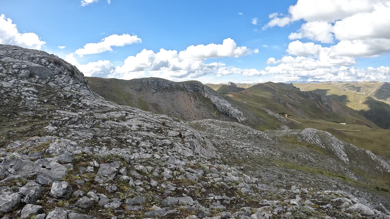 Walking up on a Hawk in the Mountains