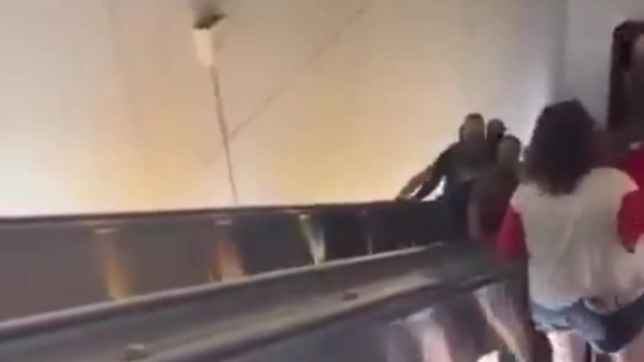 ICE Agent Humiliates Overweight Protestor