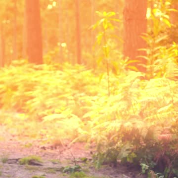 ArthroZen Strong Gel | Herbal Relief for Joint & Muscle Pain | BluepillExpress