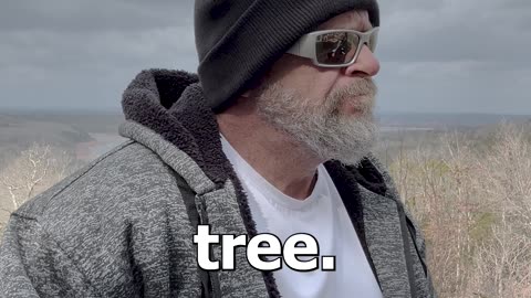Pet Tree