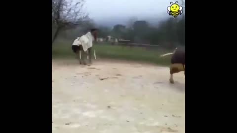 Daddy Goat 24/7 - Out Of Context Memes & Videos