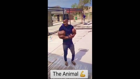 Daddy Goat 24/7 - Out Of Context Memes & Videos