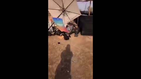 Daddy Goat 24/7 - Out Of Context Memes & Videos