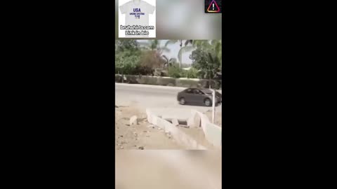 Daddy Goat 24/7 - Out Of Context Memes & Videos