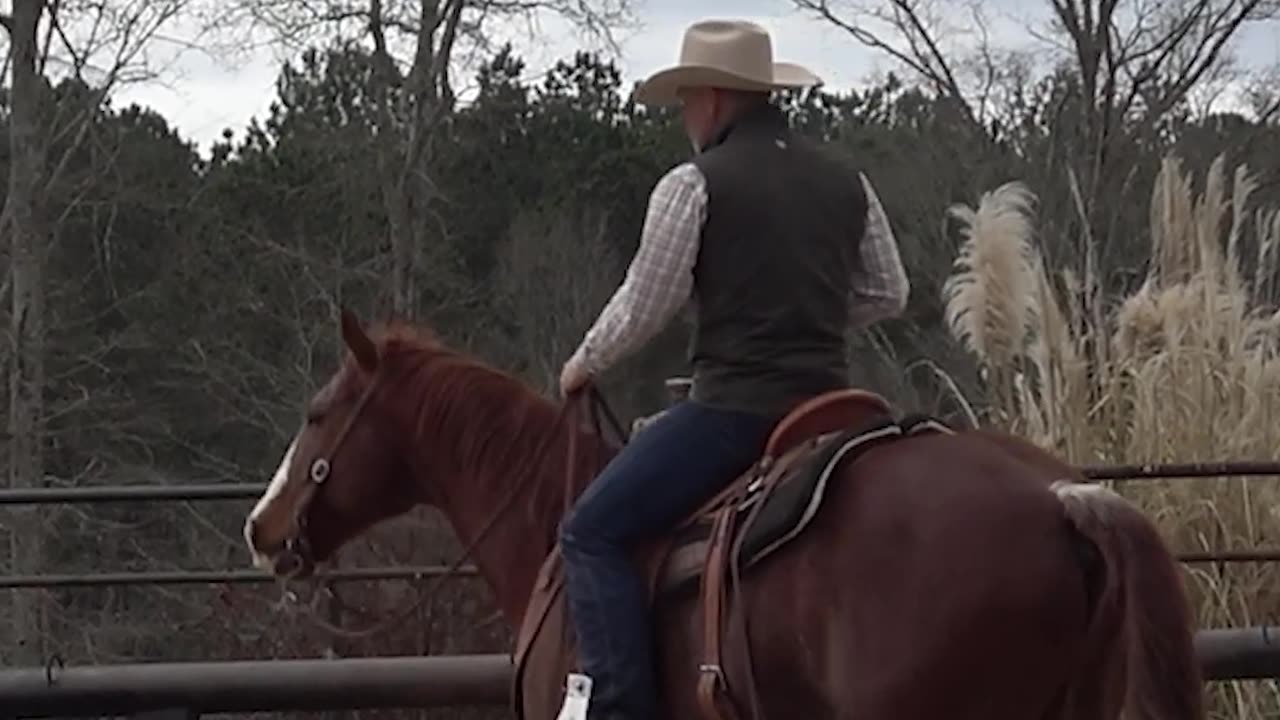 Training flying lead changes is fun!