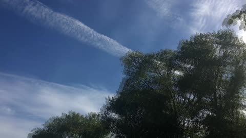 A Fun Day Out w/ my Bud