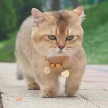 And who is that good-looking brother on screen? 😍