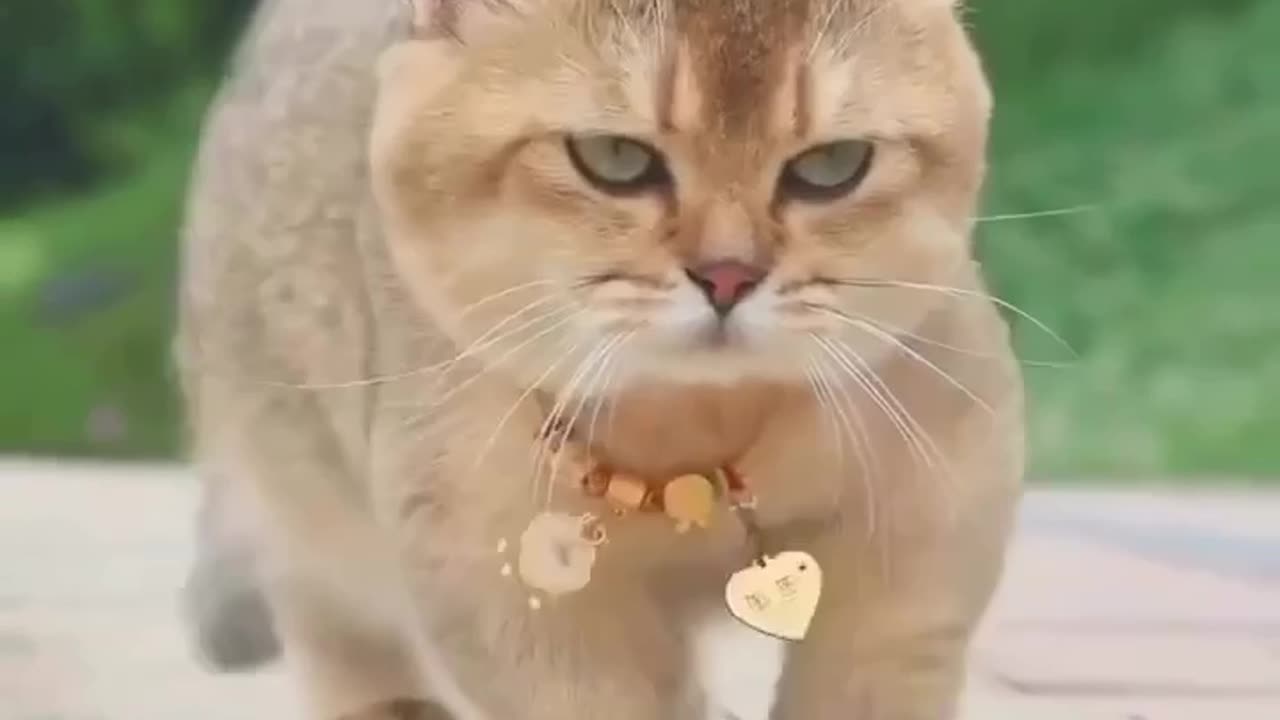 And who is that good-looking brother on screen? 😍