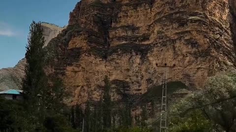 Daily Horoscope | Capricorn 🌟