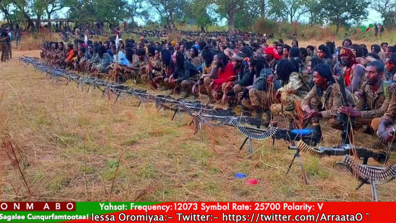 Gabaasa Tarkaanfii ONM-ABO Caamsaa 7-2025 itti dhiyaadhaa!