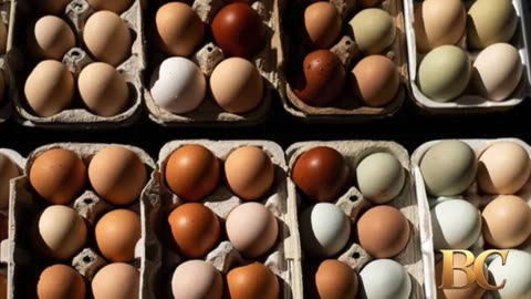 Salmonella outbreak linked to eggs sickens dozens of people across 7 states