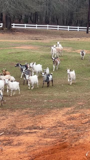 We heard that you had Snacks!!