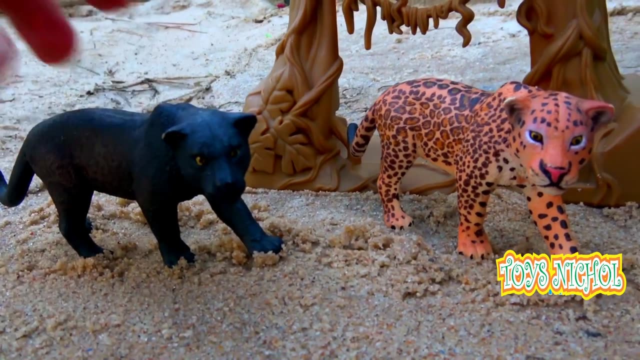 Lizard Hide Under Wood Because Chased by an Eagle