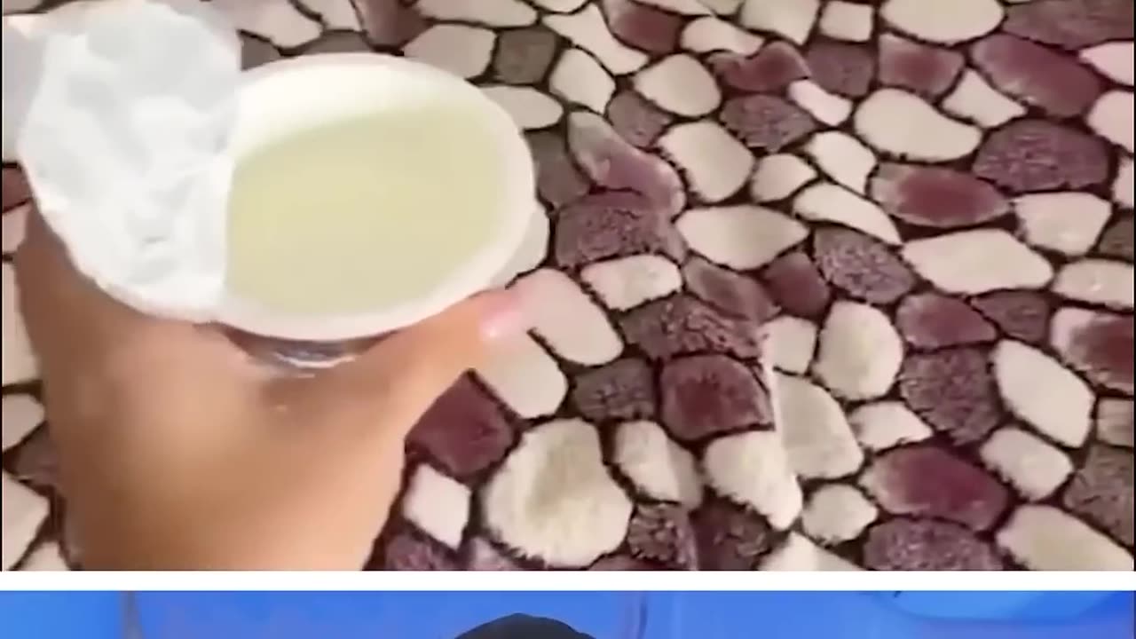 Funny Animals🦆🤣