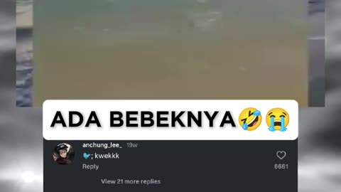 FUNNY MEMES VIDEOS