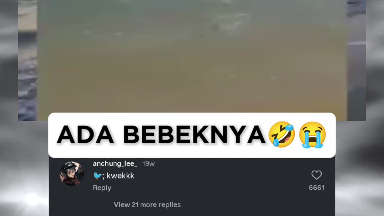 FUNNY MEMES VIDEOS