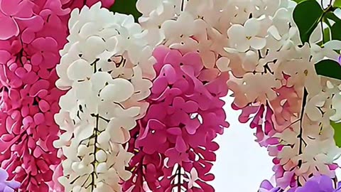 ये पांच बातें आपको बहुत सारा खुशी देंगे