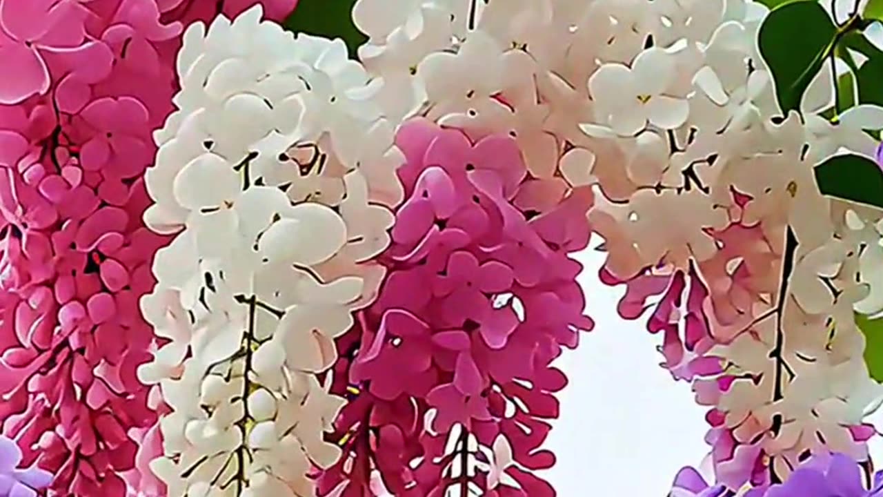 ये पांच बातें आपको बहुत सारा खुशी देंगे