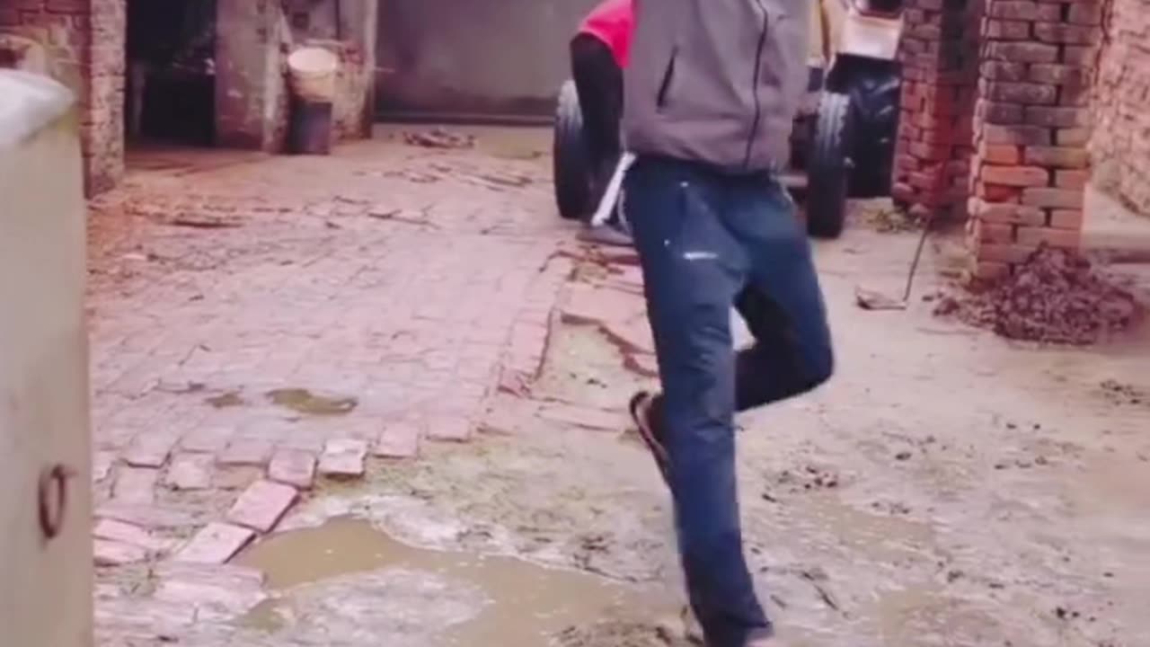 #funnyanimalsfunny #funnyvideo #funnyshorts #funnycats #