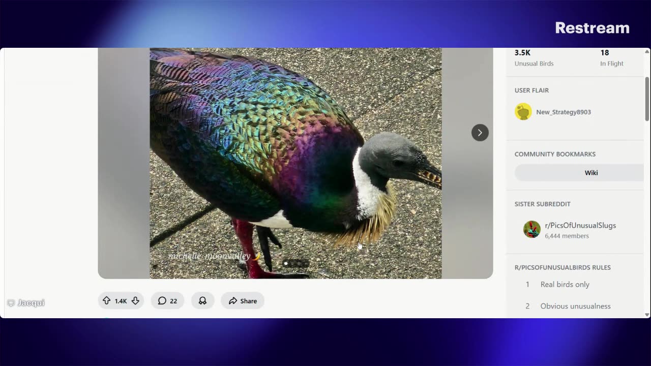 Live with Restream, October 24