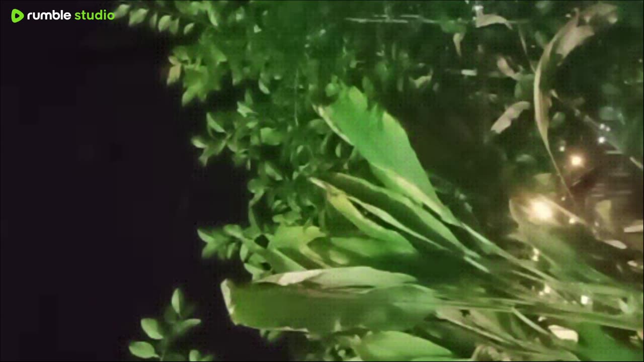 ASMR NIGHT RAIN ACCOMPANIES SLEEP