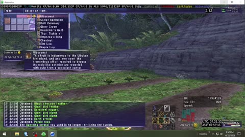 Playing Final Fantasy XI Online