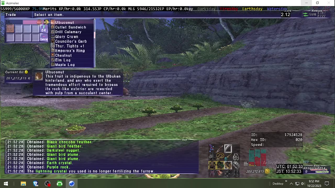 Playing Final Fantasy XI Online