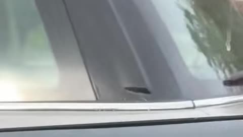 Prank Tricky Brother