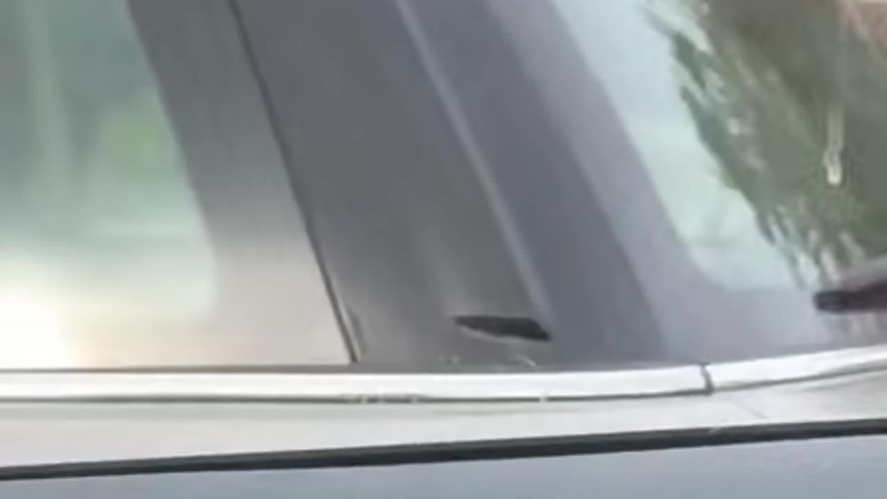 Prank Tricky Brother