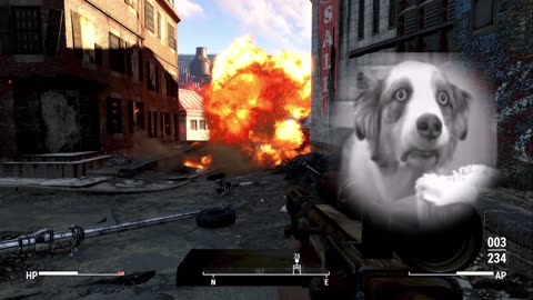 Poor dogmeat