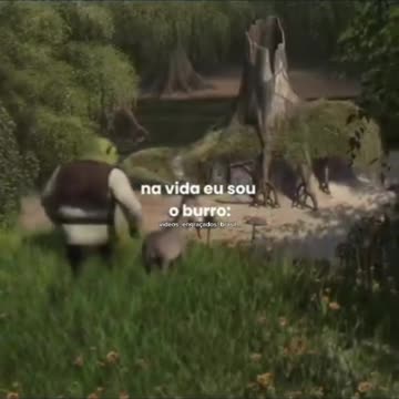 O burro é mt engraçado kakakakaka