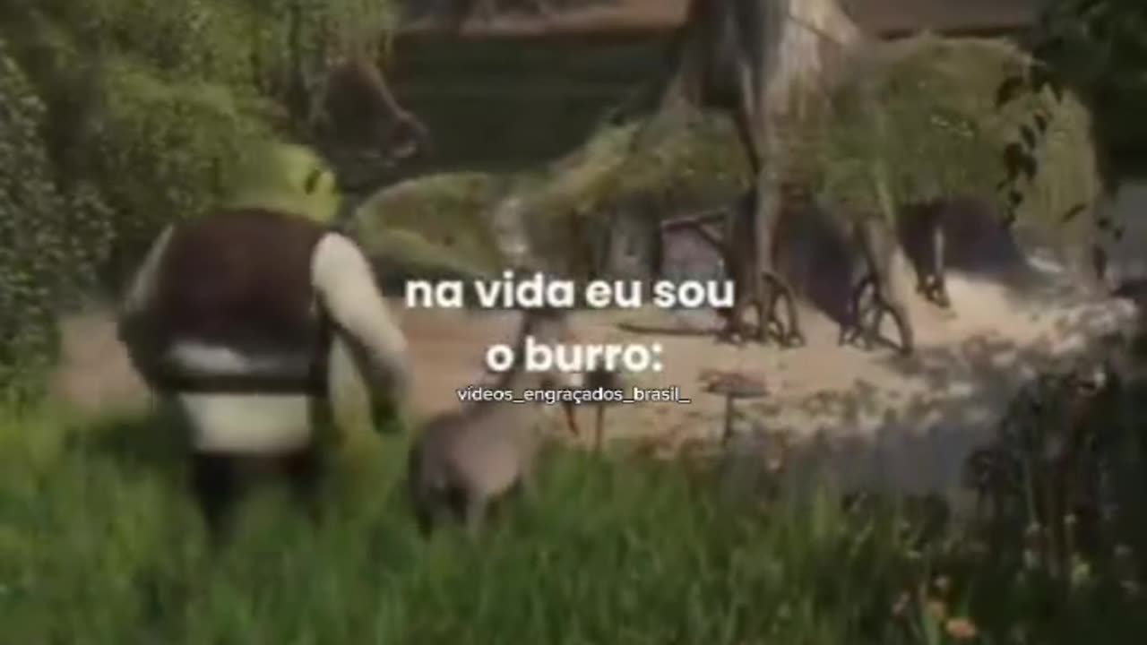 O burro é mt engraçado kakakakaka