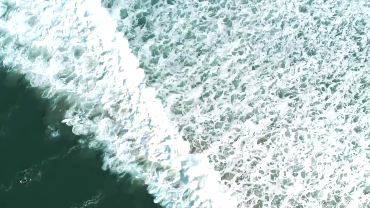 Fast Lane Love, No Brakes