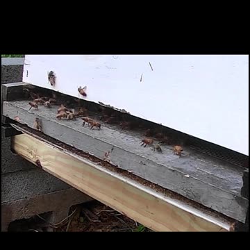 Friday Morning, Time to Rise and Shine