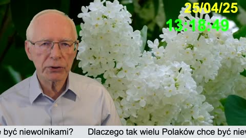 Przedwyborczy kocioł