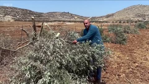 BBC_films_dozens_of_settlers_attacking_Palestinian_community_in_West_Bank___BBC_News(