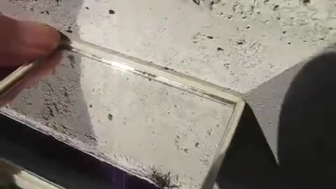 🕷️ My Spider People Need Me! | FunFM