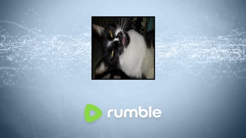 beamng for as long as it lasts