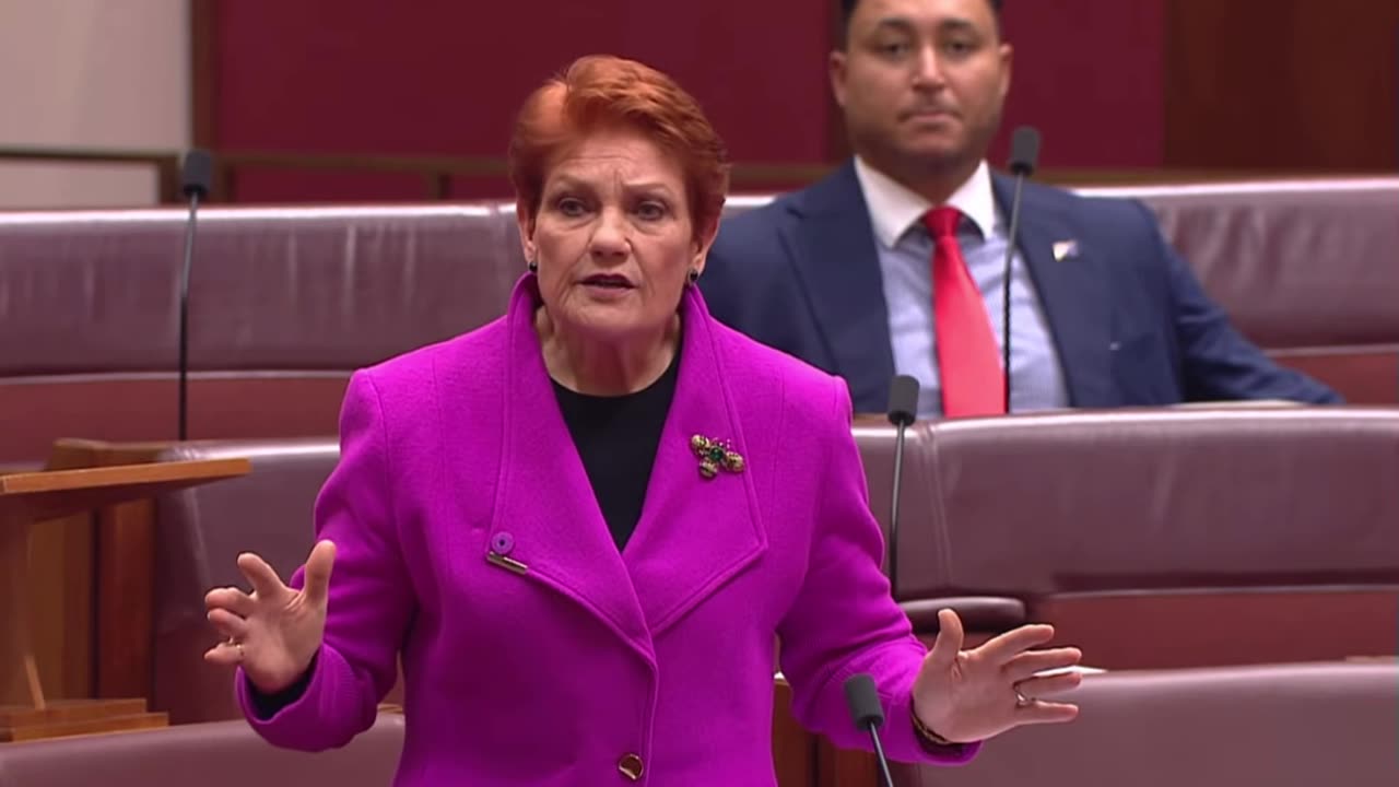 Pauline Hanson's Please Explain