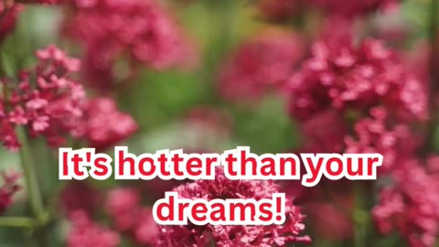 Indian Subcontinent Sleep Issues #HotNightFix 🔥 #CoolSleep 😴 #PeacefulDreams 🌙 #NoSweat 🛏️