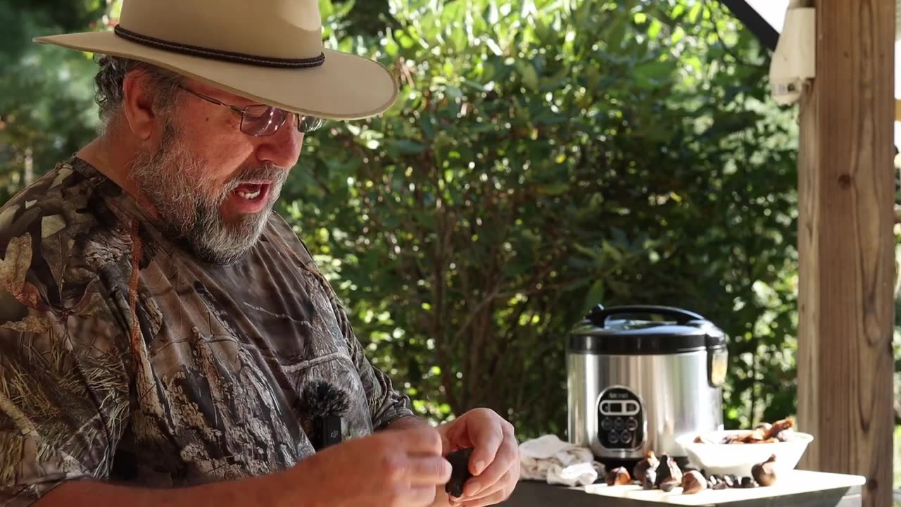 DIY Black Garlic 21 day Test Results, Was it Worth It?