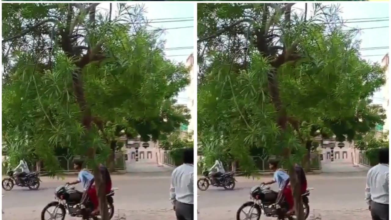 Massive Fire Destroys 3-Storey Building in Meerut’s Shastri Nagar