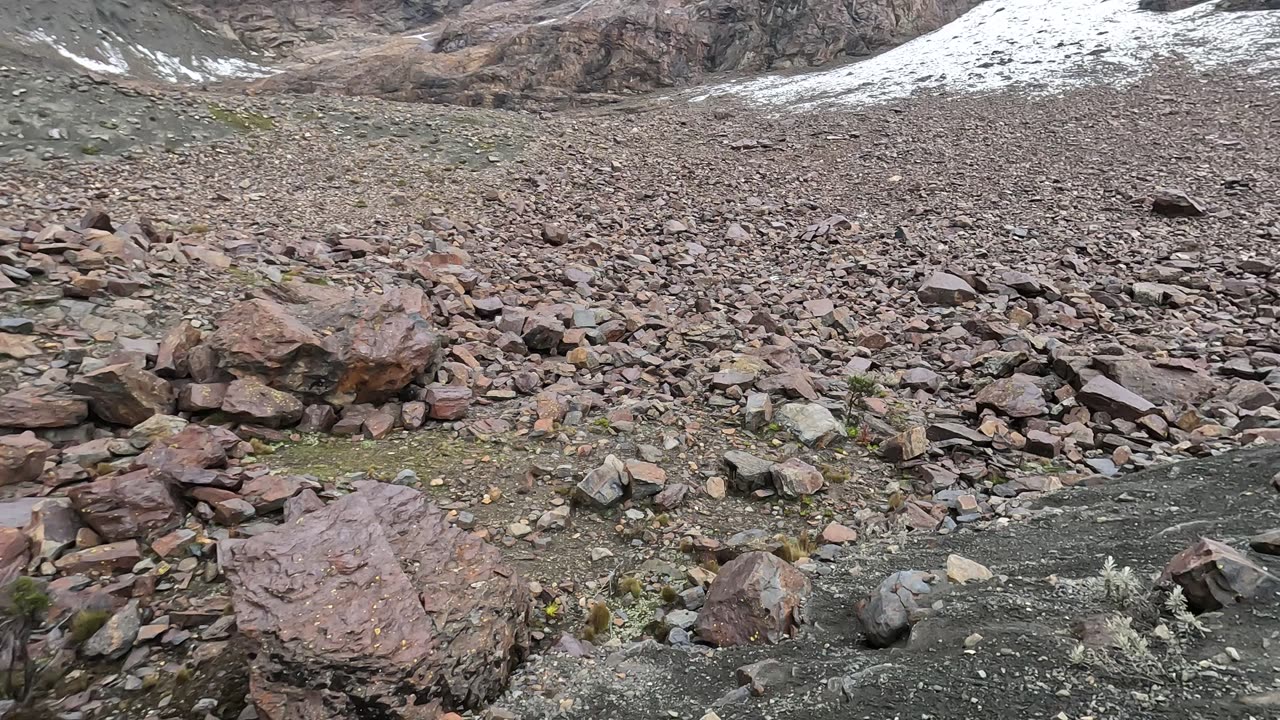 Below the peaks of Tullparaju & Pucaranra #Huaraz